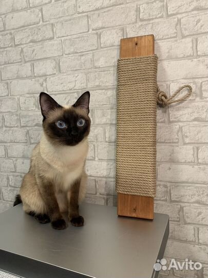 Когтеточка/когтедралка настенная (новая)