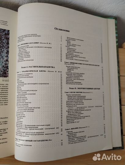 Современная ботаника, 2х томник, 1990г