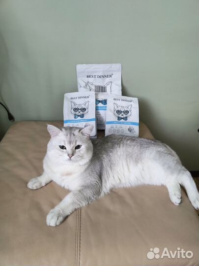 Корм для кошек Best dinner