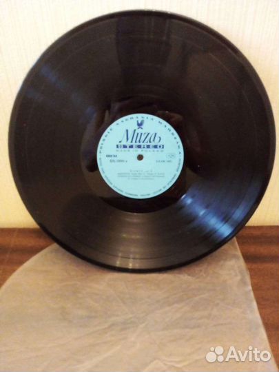 Виниловые пластинки