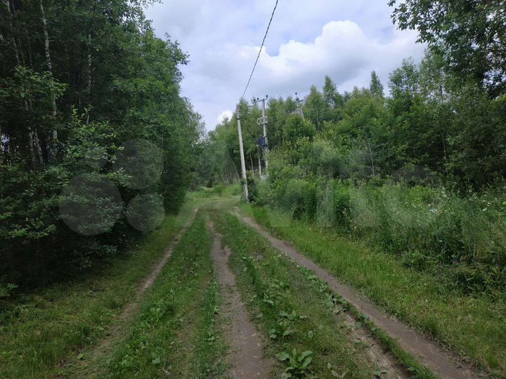 Участок 10 сот. (СНТ, ДНП)