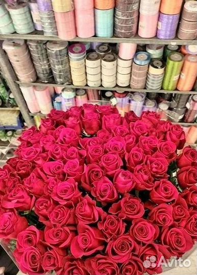 Розы Высокие 150см 160см 170см 180см 190см 2м