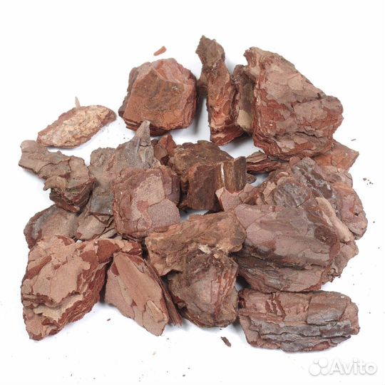 Сборщик сосновой коры