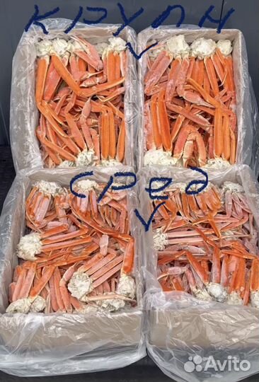 Краб Стригун средний (коробка 4 кг)