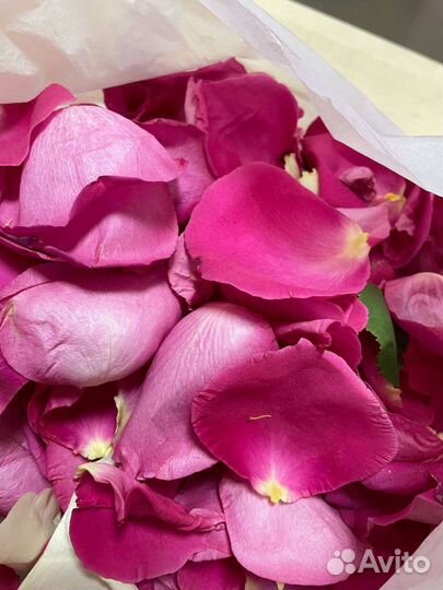 Лепестки роз