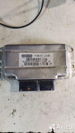 Продам эбу (мозги) на гранту