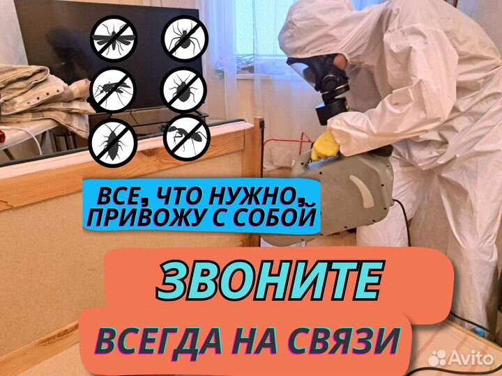 Уничтожение тараканов клопов грызунов клещей