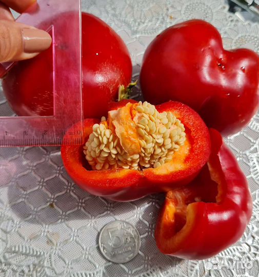 Семена сортовых перцев