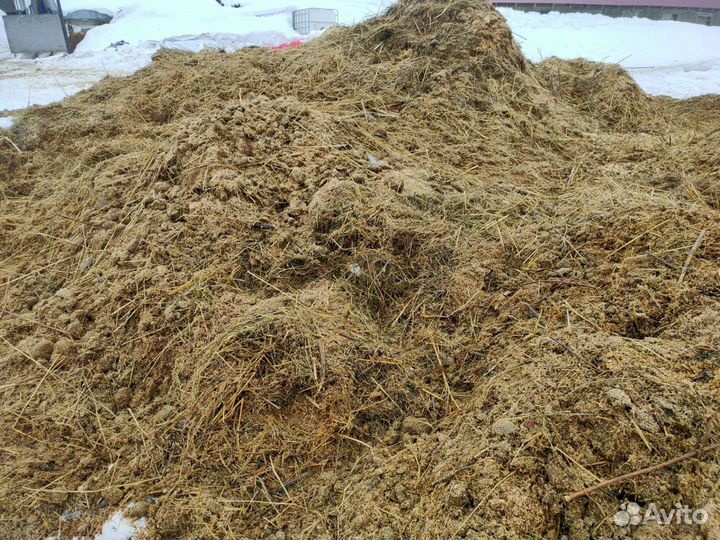 Конский свежий навоз с подстилкой