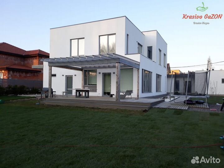 Рулонный газон Теневыносливый