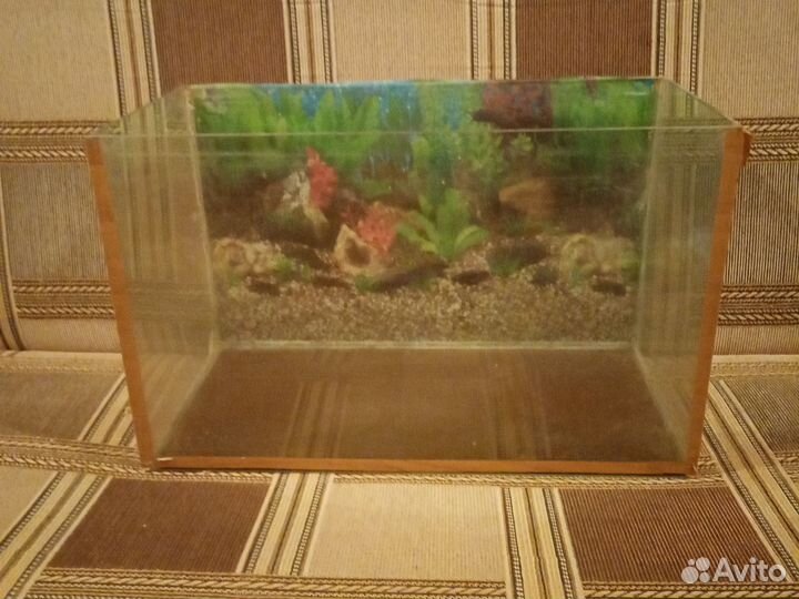 Аквариум