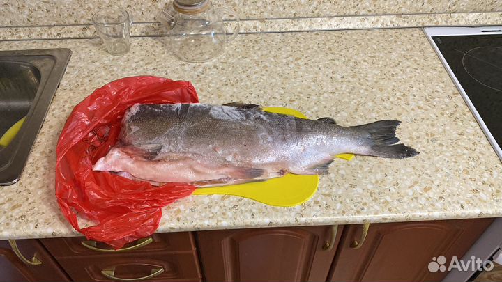 Рыба кижуч свежемороженый