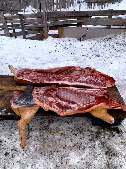 Мясо свинины домашнее с привозом к дому