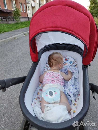 Коляска verdi 3 в 1, люлька, сидячий и автолюлька