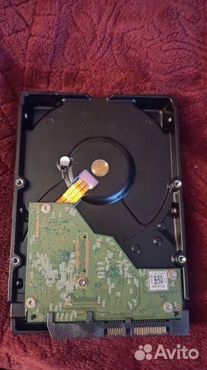 Жесткий диск wd