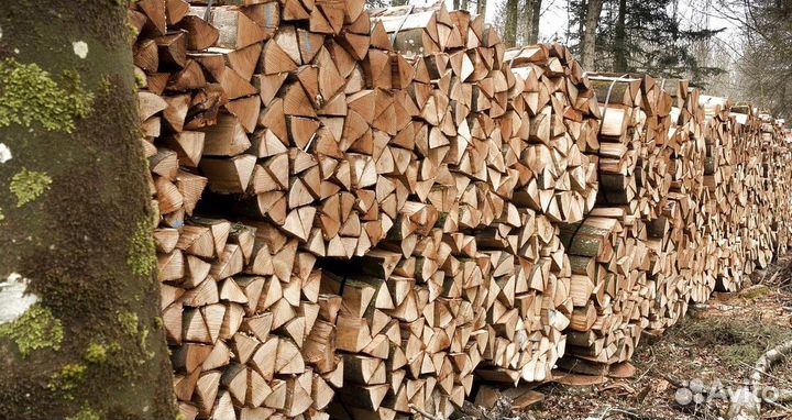 Дрова в СПБ