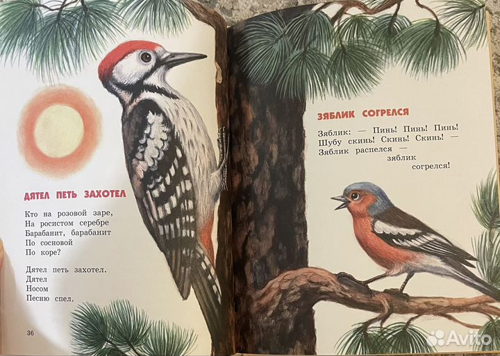 Кто самый добрый: Эмма Мошковская