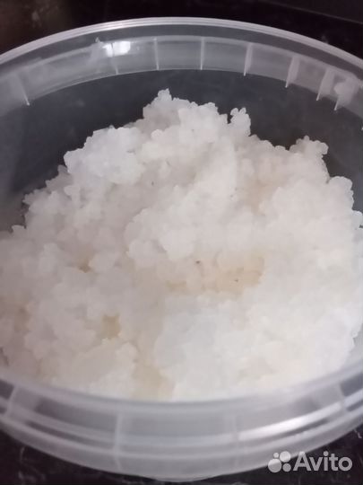 Индийский морской рис, рисовый гриб, водный кефир