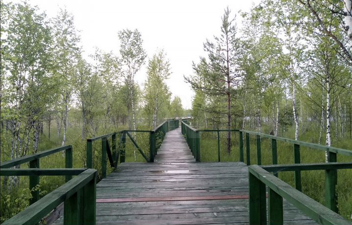 Участок 23 сот. (СНТ, ДНП)