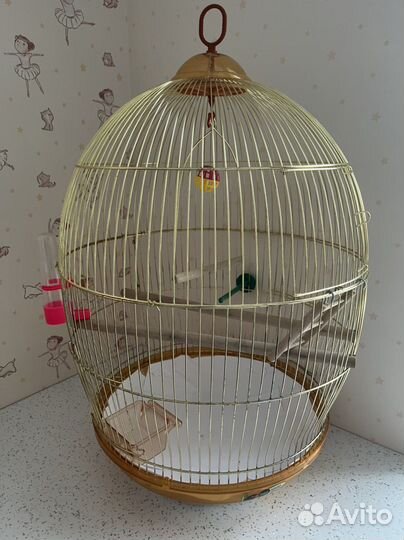 Клетка для мелких и средних попугаев