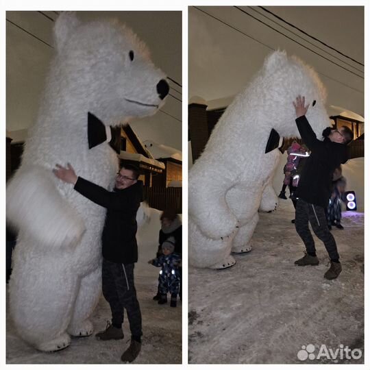 Поздравление от белого мишки