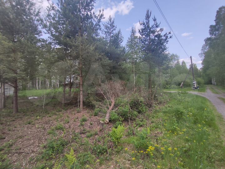 Участок 6 сот. (СНТ, ДНП)