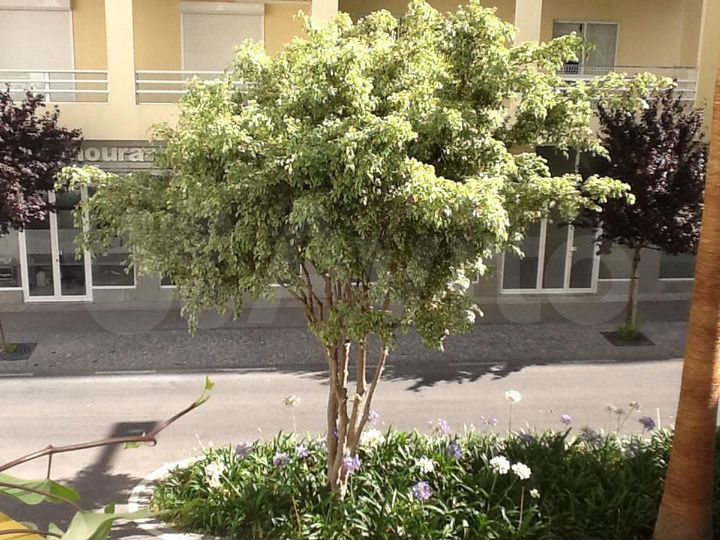 2-к. квартира, 55 м² (Португалия)