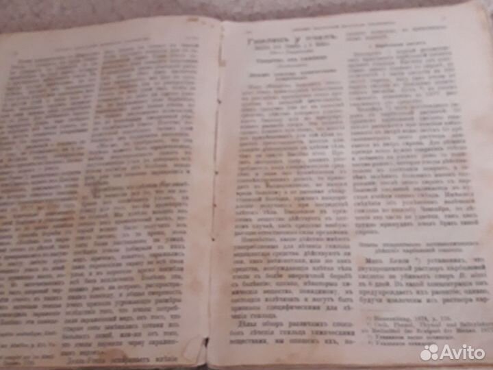 Вестник пчеловодства 1901