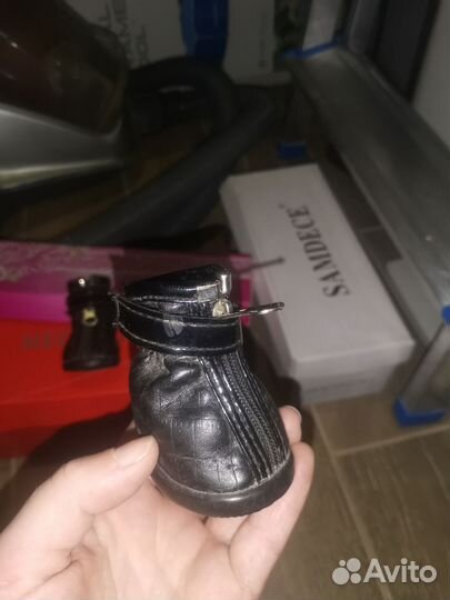 Обувь для маленьких собак