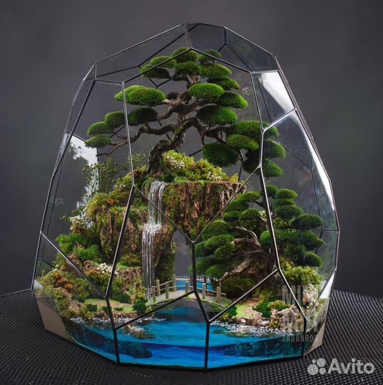 Флорариум подарок