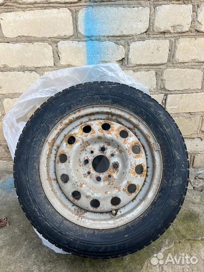 Bridgestone Blizzak DM-V2 175/65 R14 175