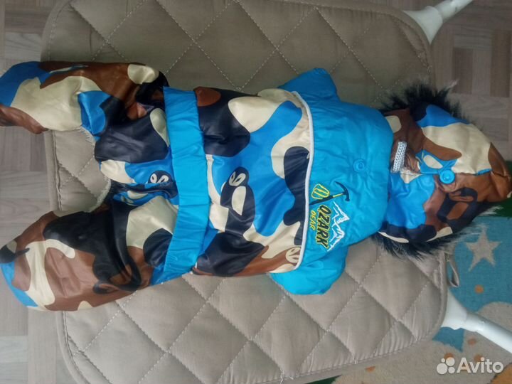 Одежда для маленьких собак