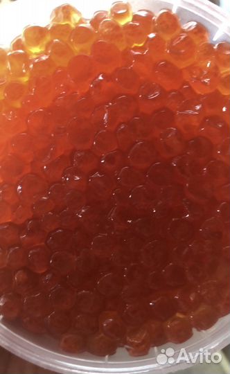 Красная икра, Камчатка, 2023