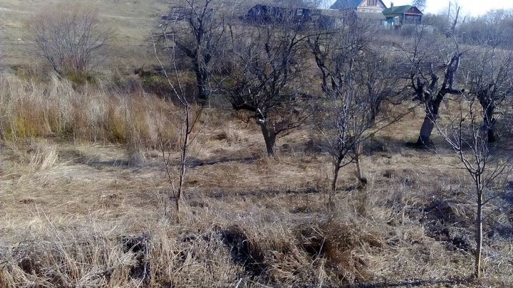 Участок 7 сот. (ИЖС)