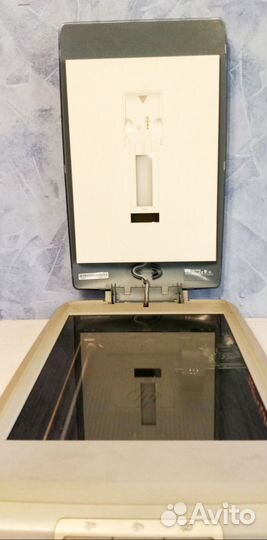 Принтер Epson stylus foto 870