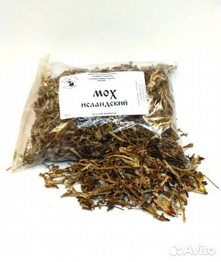 Мох Исландский