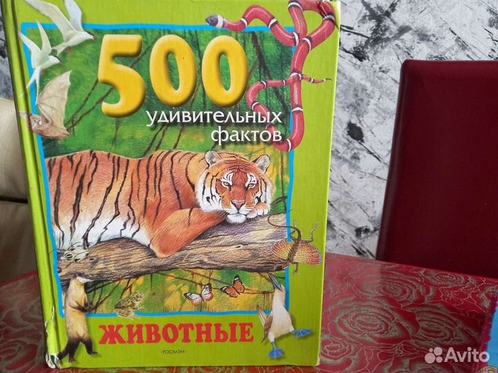 Книга для детей