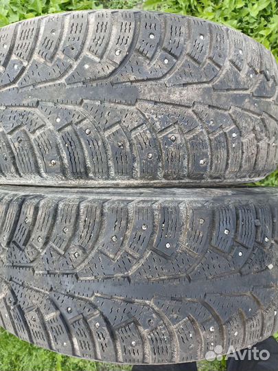 Nokian Tyres Hakkapeliitta 5 205/50 R17