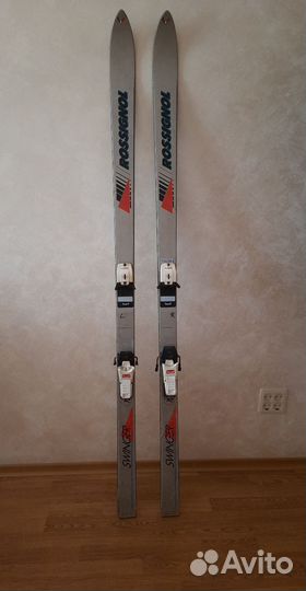 Горные лыжи