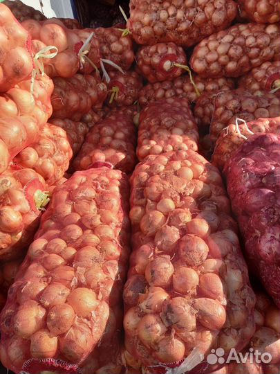 Лук оптом