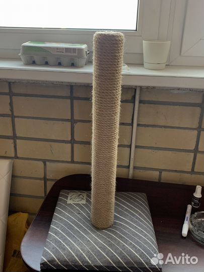 Когтеточка