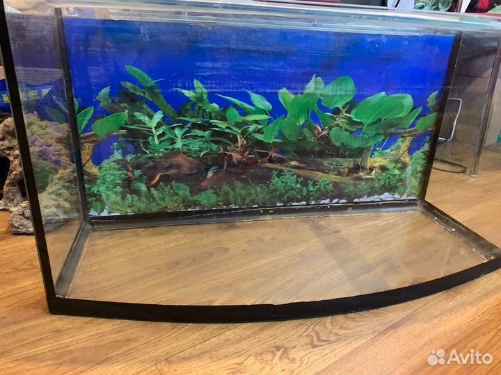 Аквариум 70 или 85 литров