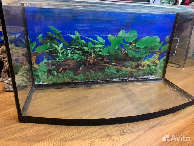 Аквариум 70 или 85 литров