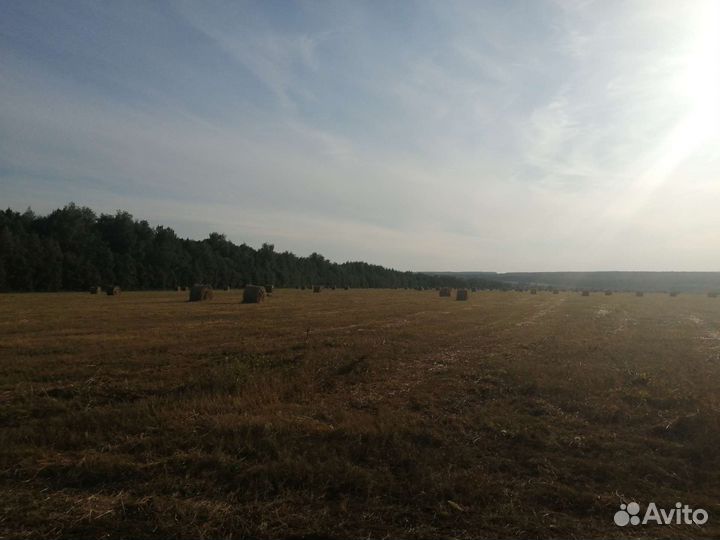 Сено в рулонах