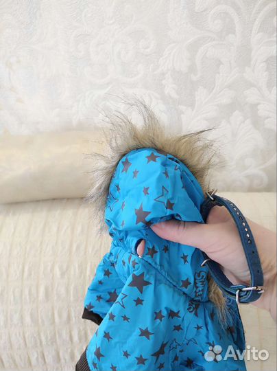 Одежда для маленьких собак