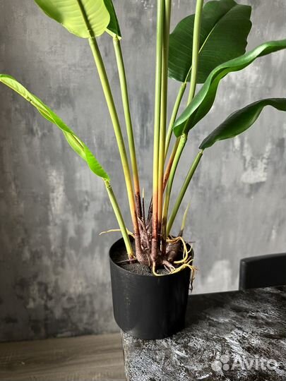 Банановая пальма искусственная