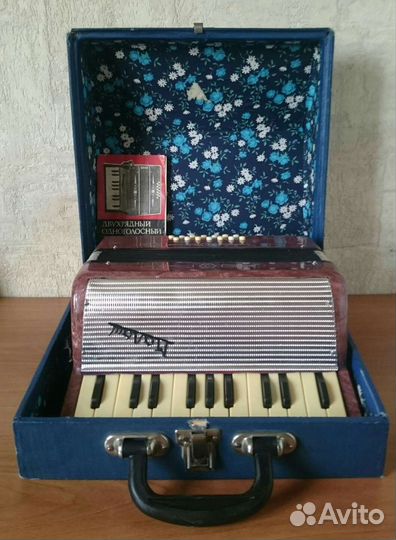 Аккордеон детский 