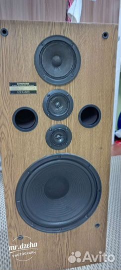 Напольные колонки pioneer