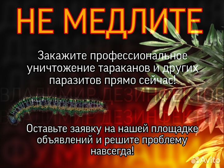 Уничтожение тараканов, клопов, запахов и растений