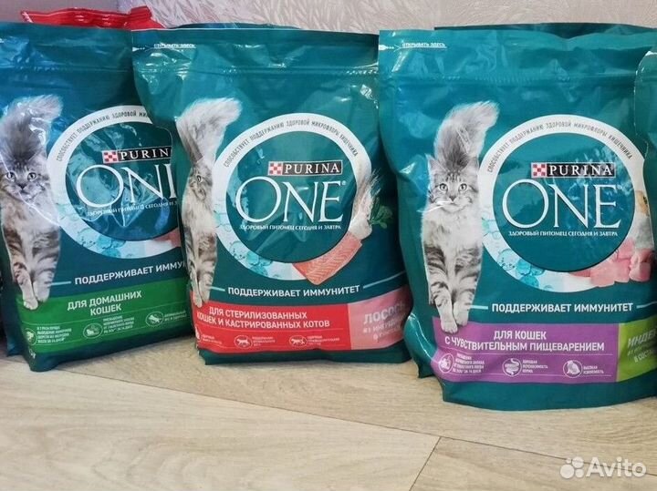 Корм для кошек и собак